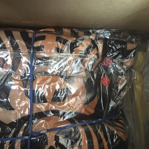 Shorts - Picture 3 of 6